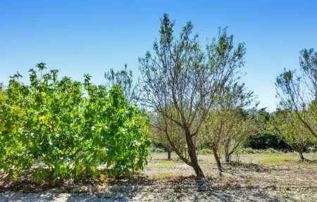 Carraire De Micoulari, Maison 6 personnes à Saint Rémy De Provence - Photo 17