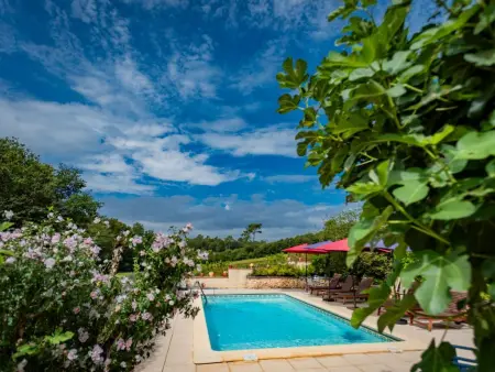 Maison Micouleaud, Grande maison de campagne avec piscine privée - Photo 8