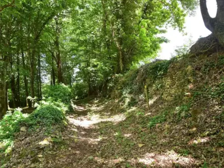 Maison Micouleaud, Grande maison de campagne avec piscine privée - Photo 48
