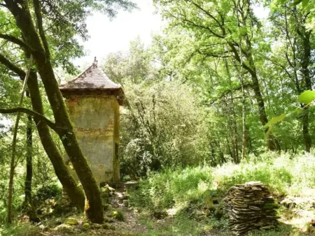 Maison Micouleaud, Grande maison de campagne avec piscine privée - Photo 49