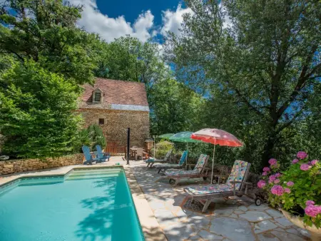 Gite Micouleaud, Très beau gîte authentique avec piscine privée - Photo 11