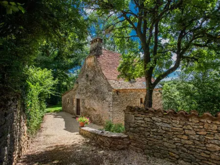 Gite Micouleaud, Très beau gîte authentique avec piscine privée - Photo 14