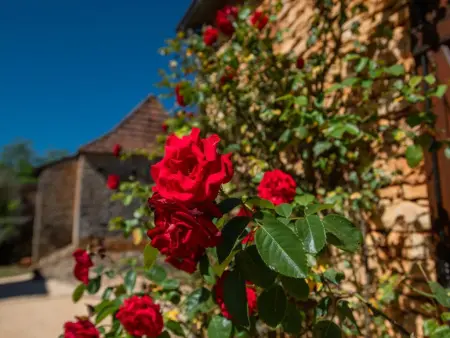 Beauchamps, Grande maison authentique avec piscine privée - Photo 18