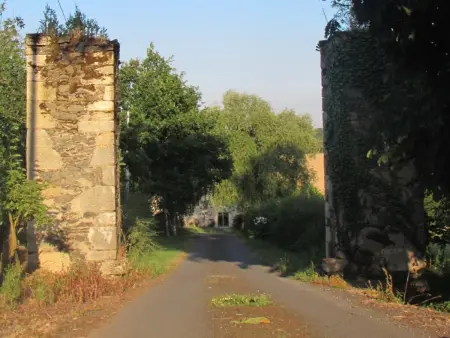 Gîte rustique avec 2 chambres, nature, animaux admis, wifi et parking - Photo 25