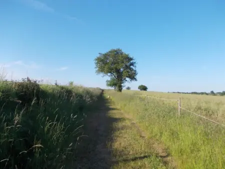 Gîte rustique avec 2 chambres, nature, animaux admis, wifi et parking - Photo 27