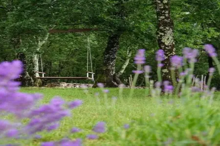 Villa Karla, Villa de luxe avec piscine et sauna - Photo 35