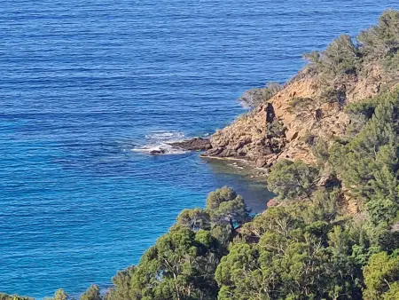 Charmant 2P avec jardin, piscine, parking et navettes gratuites - Cavalaire-sur-Mer - Photo 14