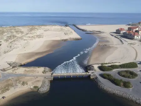 Appartement T2 à 50m du lac avec piscine et parking - Photo 9
