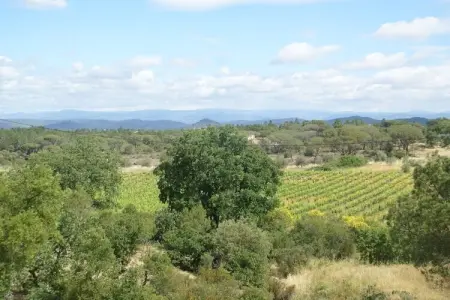 Villa Polau, Villa à Vidauban avec Piscine et BBQ - Photo 23