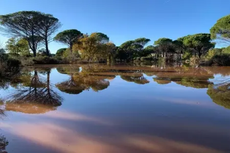 Villa Polau, Villa à Vidauban avec Piscine et BBQ - Photo 29