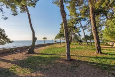 VIla Querchus Apartment 9, Appartement familial à Novigrad - Photo 32
