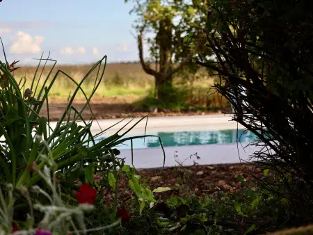 Retraite Champêtre avec Jardin, Piscine et Proximité Château à Châteaudun - Photo 2