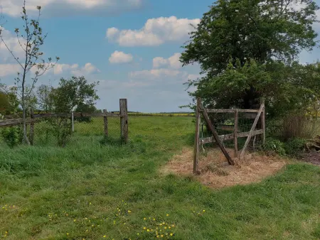 Retraite Champêtre avec Jardin, Piscine et Proximité Château à Châteaudun - Photo 20