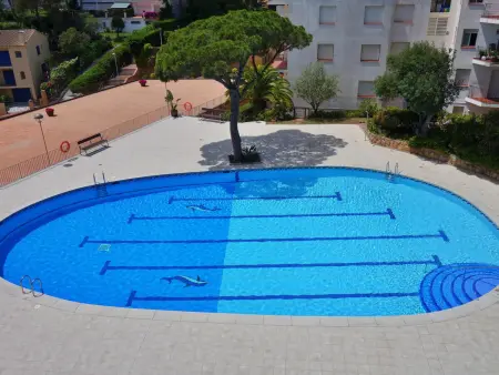 Appartement avec piscine, proche plage de Calella de Palafrugell - Photo 14
