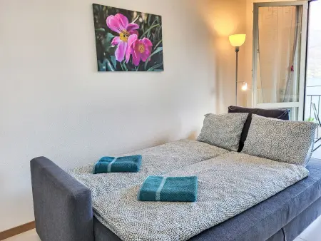 Casa Stella App. 4, Appartement 4 personnes à Brissago - Photo 13