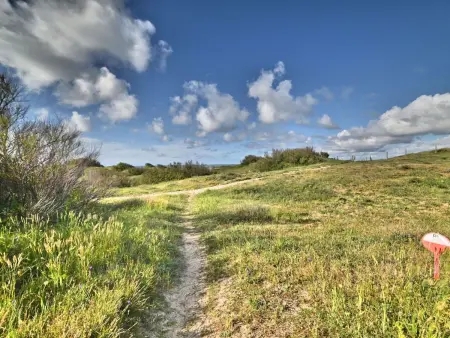 Les Cariatides, Maison 6 personnes à Île d'Oléron - Photo 27