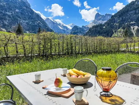 Bergluft, Appartement 3 personnes à Kandersteg - Photo 10