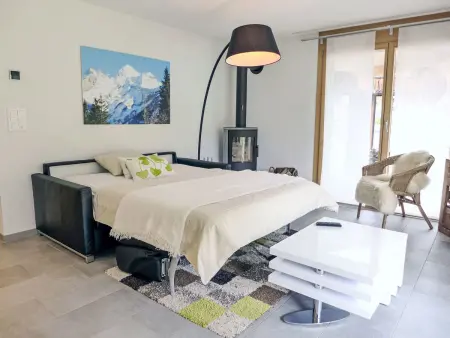 Bergluft, Appartement 3 personnes à Kandersteg - Photo 19