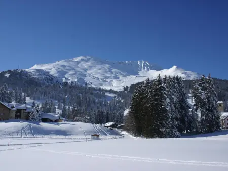Triangel A Leppin, Appartement 4 personnes à Parpan - Photo 12