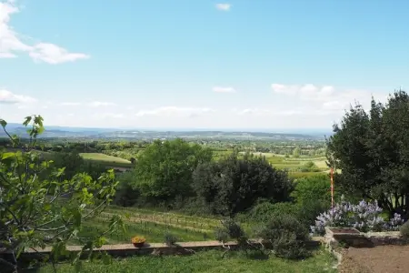 Doppelhaushälfte in Bédoin, Maison en Provence près du Mont Ventoux - Photo 17