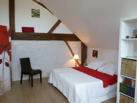 Gîte de charme au cœur du Val de Loire, proche Amboise-Chenonceau, cadre paisible, tout inclus - Photo 11
