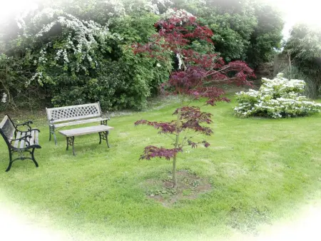 Maison de charme en pierre avec jardin près de Barfleur - Photo 15