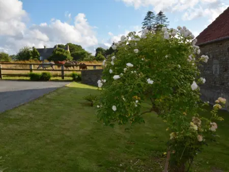 Maison de charme en pierre avec jardin près de Barfleur - Photo 16