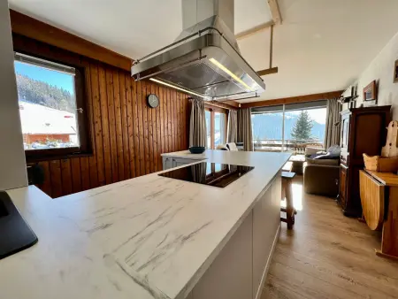 Appartement spacieux proche des pistes, piscine, animaux admis - Photo 12