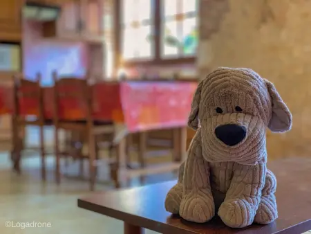 Maison de charme au Bugue, Dordogne, près de sites touristiques - Photo 15