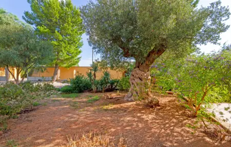 Villa d'Itria, Maison 6 personnes à Grottaglie - Photo 18