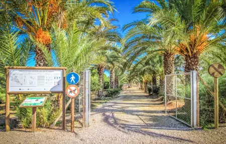 Maison 4 personnes à Elche - Photo 18