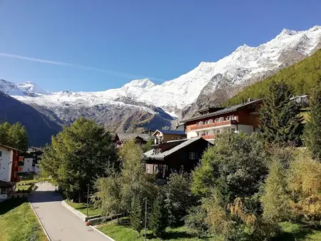 Floralpina, Appartement 5 personnes à Saas Fee - Photo 2