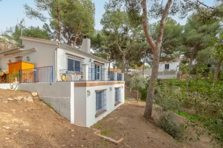 AxarquÍa, Cottage à Málaga près de Playa del Palo - Photo 6