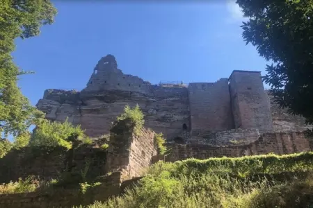 83461, Les Petits Vignerons - Photo 24