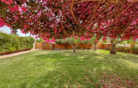 Casa Buganvilla, Maison 9 personnes à Sagunto - Photo 14