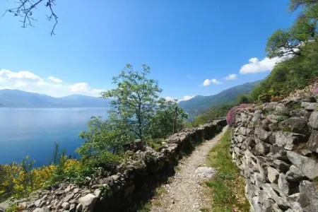Vigneto E 24 - 6 pax, Appartement au bord du Lago Maggiore - Photo 24