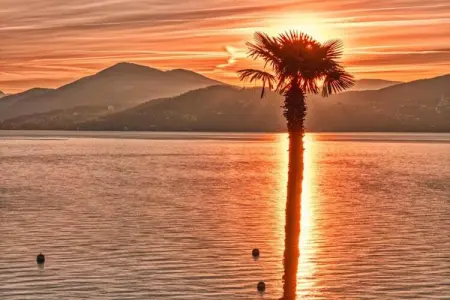 Vigneto E 24, Appartement au bord du Lago Maggiore - Photo 25