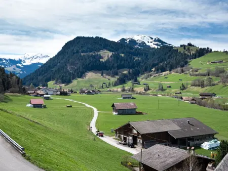 Chalet Anita, Appartement 4 personnes à Zweisimmen - Photo 18