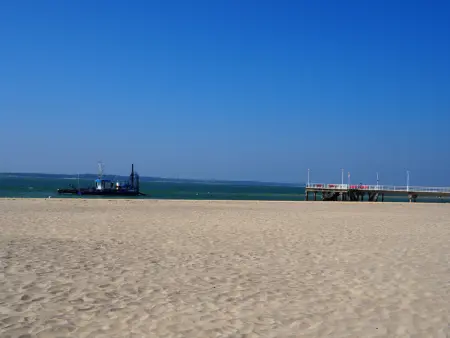 Appartement cosy hyper centre d'Arcachon, proche plage et commerces - Photo 13