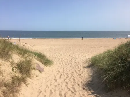 Studio Front de Mer avec Terrasse et Accès Direct Plage à Merville-Franceville - Photo 10