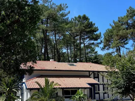 Villa de luxe avec piscine chauffée, jacuzzi, sauna au cœur de la forêt des Landes - Photo 19