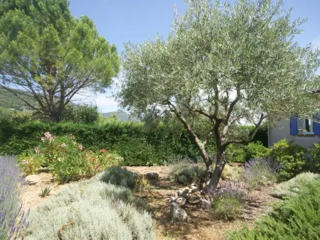 La petite truffe, Villa dans petit domaine avec piscine et tennis - Photo 7