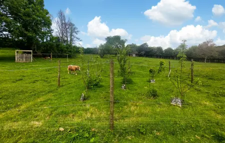 Maison 6 personnes à Alette - Photo 26