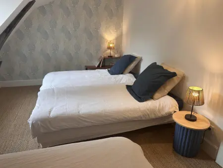 Duplex de charme au cœur historique de Moulins avec équipements modernes et literie incluse - Photo 10