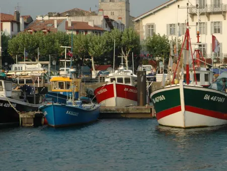 Saint-Jean-de-Luz : Appartement avec Terrasse, 2 Ch. et Parking au Cœur Historique - Photo 8