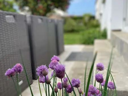 Bénodet : Appartement avec Jardin et Terrasse, Parking Gratuit, Proche Plage - Photo 17