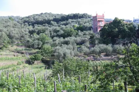35986, Casa Bianca Résidence de vacances confortable - Photo 12