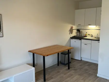 Appartement 2 pièces avec balcon et accès direct plage à Cabourg, animaux admis - Photo 4