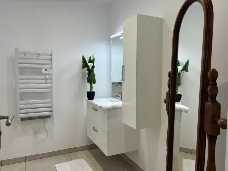Maison charmante avec piscine et climatisation à Haut-Bocage - Photo 25