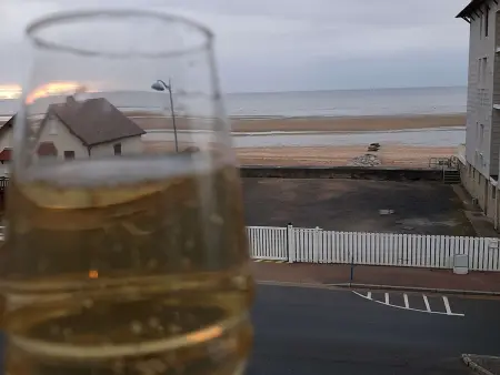 Appartement moderne avec vue sur mer et parking privatif - Photo 15